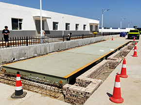 山西阳城县董封乡赤头村养殖场100吨地磅